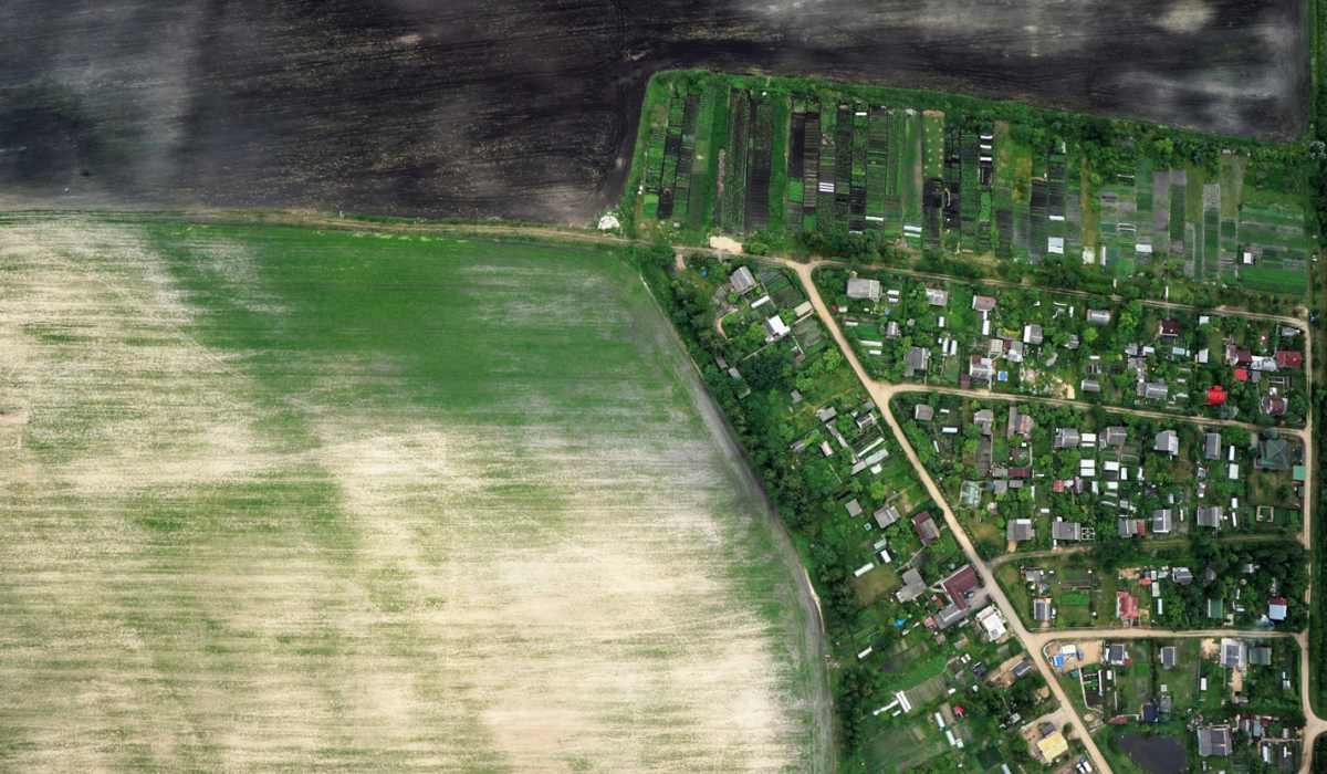 СЕЛЬСКОЕ ХОЗЯЙСТВО