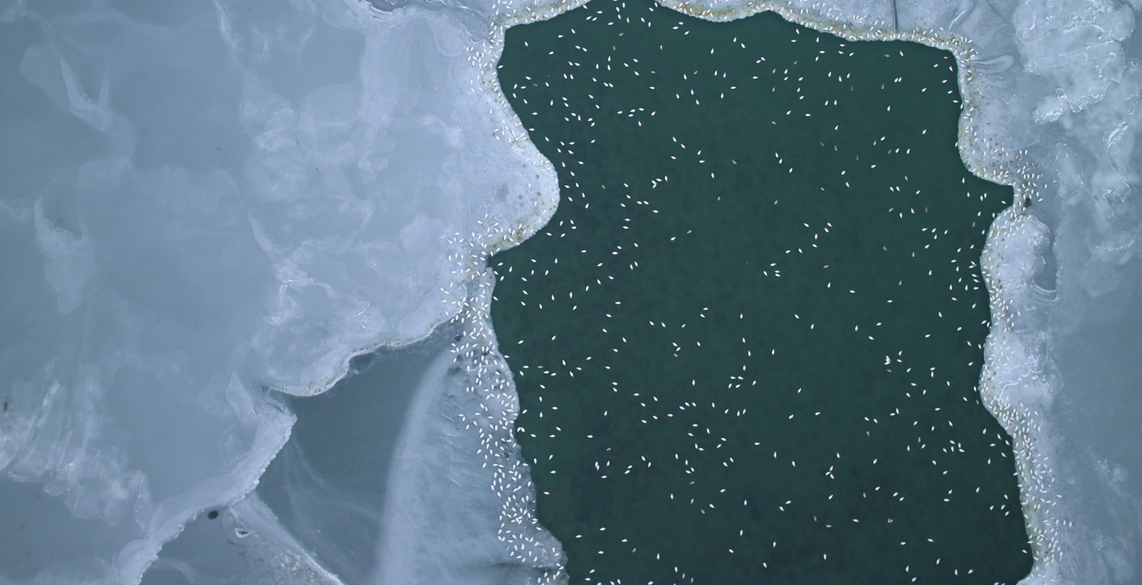 изображение_2023-10-27_123746732